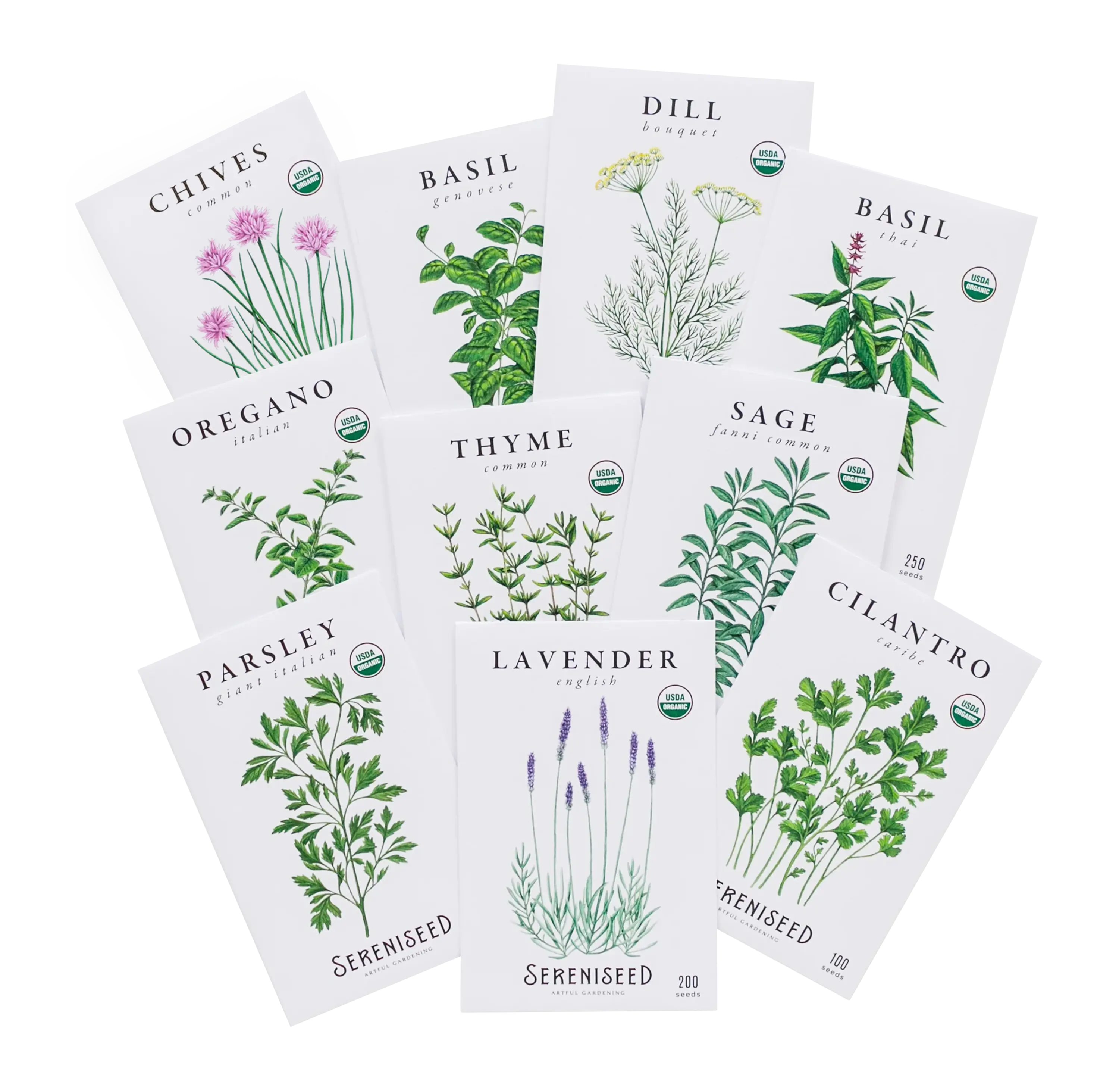 Organic Herb Seeds (10-Pack) | USDA Organic, Non-GMO Heirloom Garden Seeds