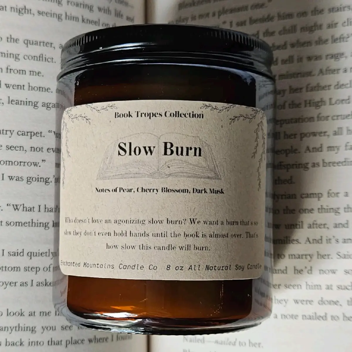 Slow Burn 8 oz Candle - Book Trope Candle Collection - 100% Soy Wax Candle