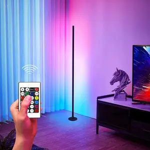 RGBIC Corner Floor Lamp, USB Powered LED Floor Lamp with Remote Control, Color Changing LED Lamp for Living Room & Bedroom, Modern Mood Lighting
