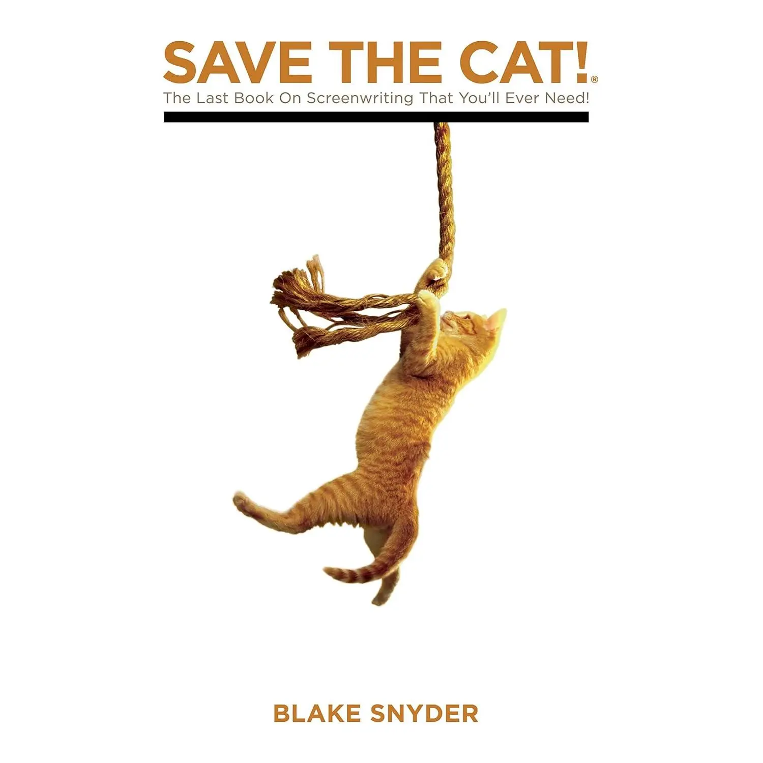 Save The Cat! The Last Book on Screenwriting You'll Ever Need