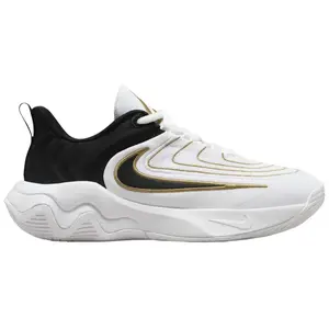 Nike Giannis Immortality 4 Championship FZ6734-100 Youth Fashion Shoes New