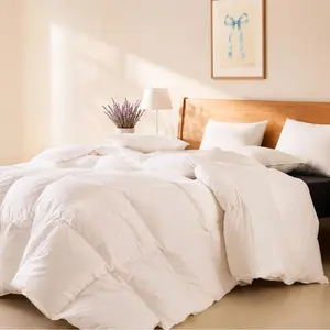 Goose Down Fiber Comforter All Season Quilted Duvet Insert – Lightweight Fluffy Breathable Hypoallergenic Down Fiber Fill Bed Comforter Queen Size for Spring Fall, White，Warehouse Clearance / Limited Stock / Multiple Sizes