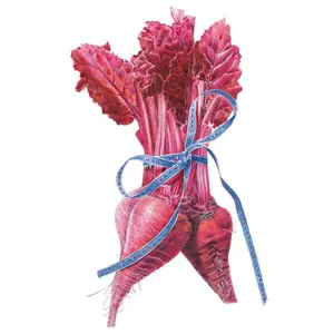 Bull's Blood Beet Seeds