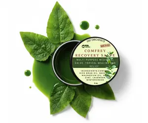SSF Organics- Herbal Comfrey Salve for Skin Healing, Sore Joints, Tissue Repair and Muscle Recovery for Comfort and Relief. Natural Plant Infused Oil Based Healing. 2 oz.