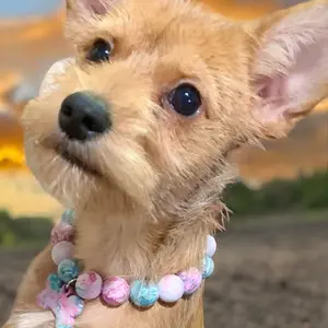 High-quality, lightweight, polymer clay beaded necklace for dogs and or cats.