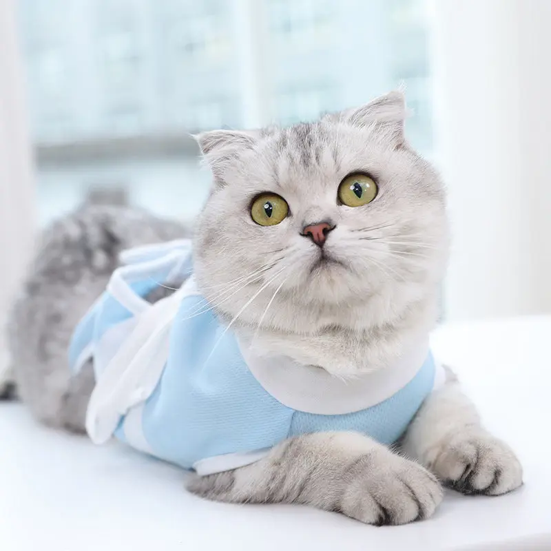 Thin Summer Cat Care Suit  Breathable Recovery Wear