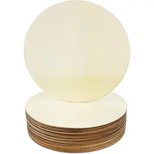 20 count 8 Inch  Rounds for Crafts, Unfinished  Circles Discs Blank  Signs to , DIY Supplies,  Christmas Halloween Decorations
