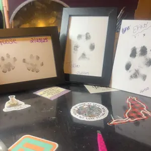 Larleaf Paw Print Kit, 4-Pcs Ink Pads + 2 Photo Frame, Mess-Free Paw Print Stamp Pad for Dogs & Cats, Clean Touch Ink Pad, Dog Nose Print Kit, Keepsake Gift For Pet Dogs And Cats, Memorial Gift For Pets, Pet Memorials, Dog Stuff