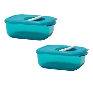 Set Of 2 Crystalware Mini 260ml Microwave Lunch