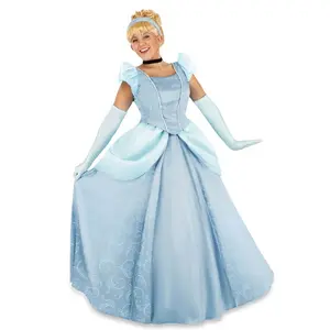 Women's Premium Disney Cinderella Costume Dress (© Disney)