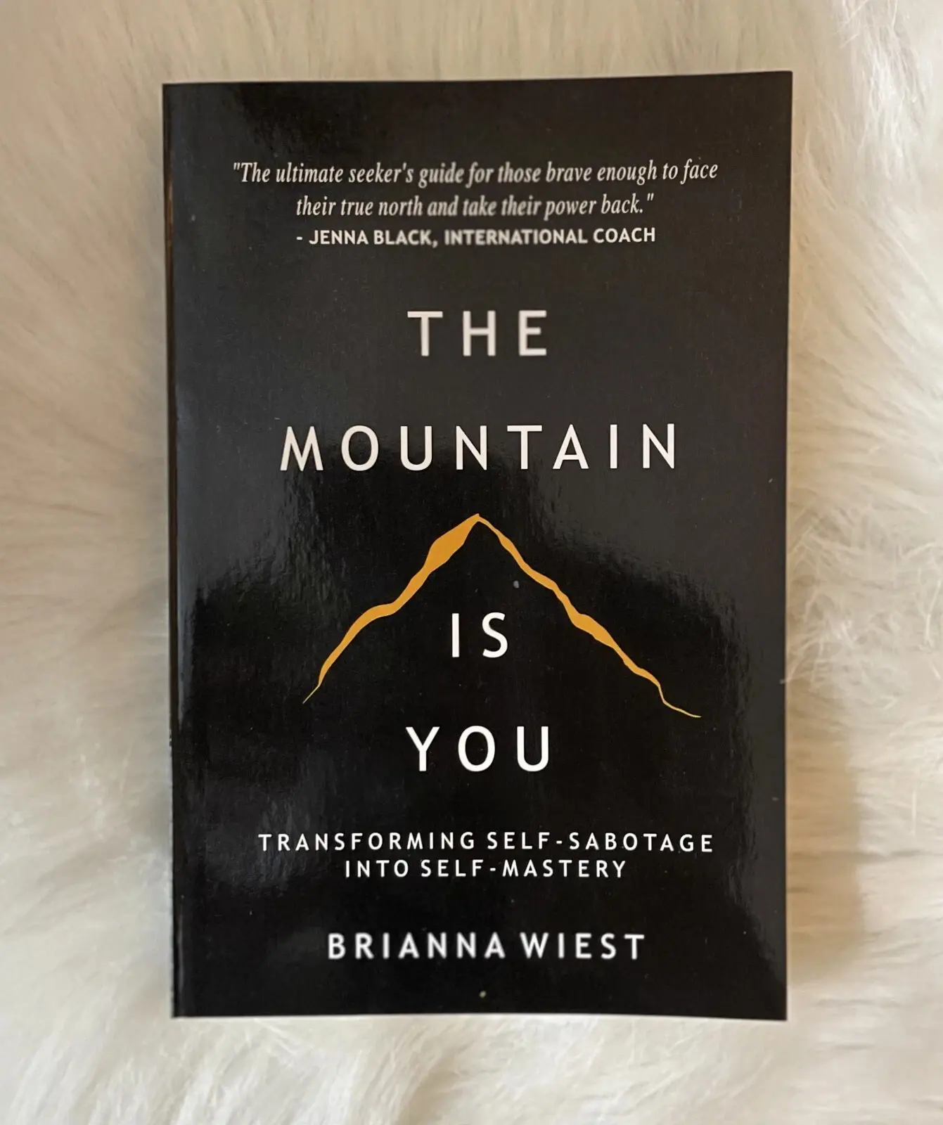 The Mountain Is You: Transforming Self-Sabotage Into Self-Mastery Paperback – May 29, 2020