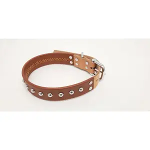 Brown Leather Dog Collar with Single Line of Silver Chrome Buttons - Tan - Small