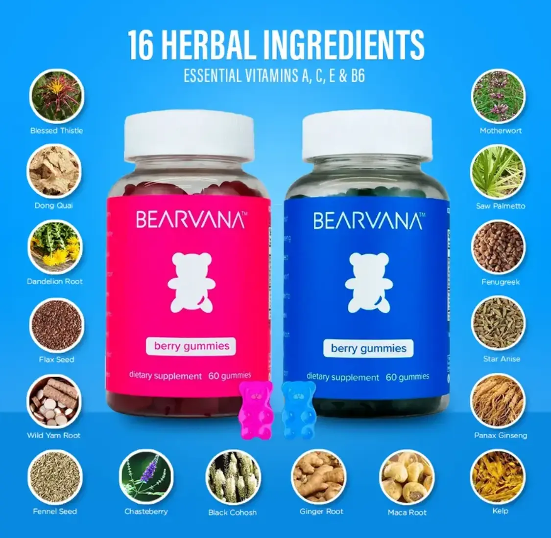 BEARVANA All-In-One Women's Wellness Gummies Combo Pack | 16 Herbal Ingredients + Vitamins A, C, E & B6 | The Daily Gummies Worth the Hype | Berry Flavor | One Monthy Supply | 120 Gummies