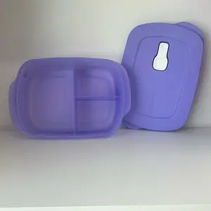 Tupperware micro flash 1L