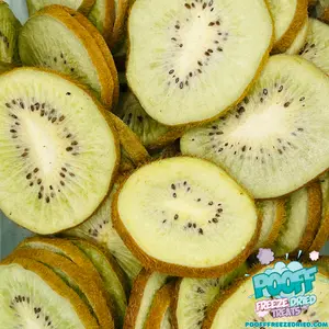 Freeze Dried Kiwi