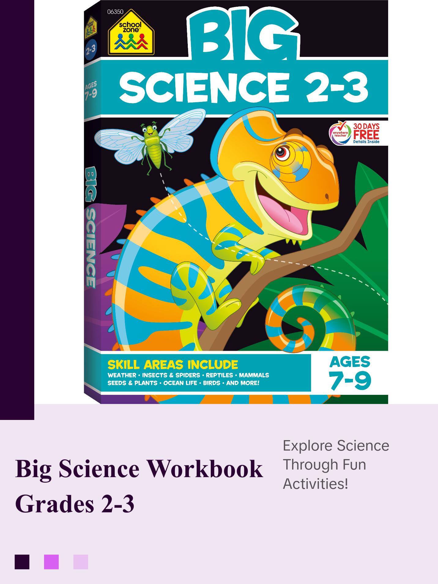 Big Science Grades 2-3 Workbook