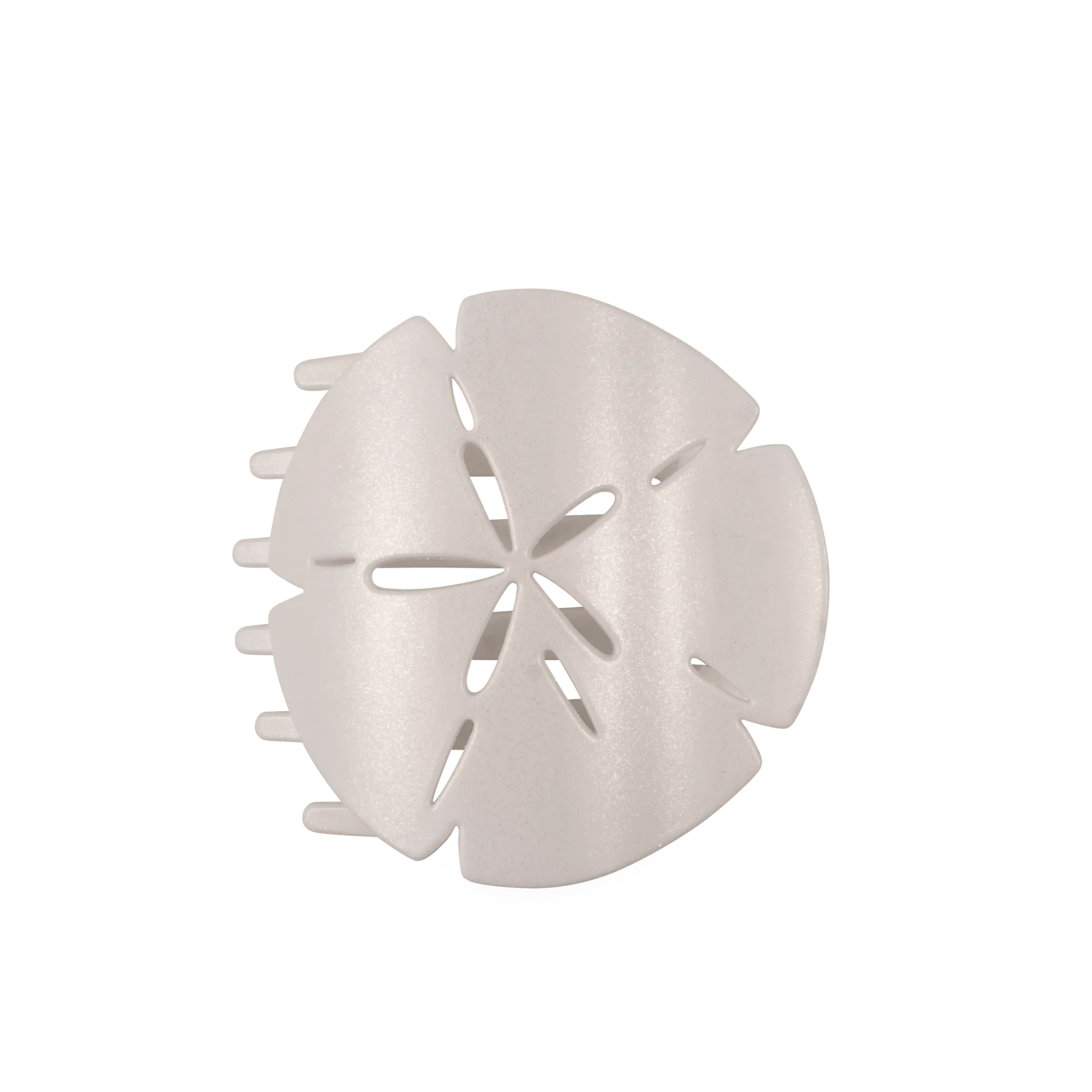 Sand Dollar Large Flat Hair Clip