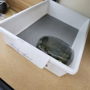 Lychee Gems Crystal-2A14 Live Claim | Crystal Hearts