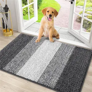 Entry Indoor Doormat for Inside Floor (30x20 Inches, Grey)