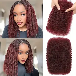 Hot Wholesale Poetically 10 & 12 Inch Afro Kinkys Bulk Human Hair 99j Crochet Hairstyle for Dreadlock Extensions, Micro Locs, Twists, Braids and Locs 30g/pack
