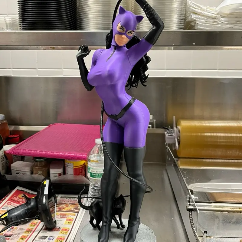 Cat woman nightfall 24’