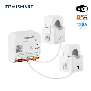 Smart Home Energy Monitor with 2 x 120A CTs, Live Electricity Usage Tracking, Bi-Directional Power Tracking, Supports Single-Phase 3-Wire System, 2.4GHz Wi-Fi (WiFi Version)