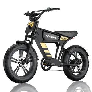 【BIGNIU BG-03】Max 28+mph |1000W peak | 4.0x20 Fat Tires | Aluminum Frame ,Electric Bike