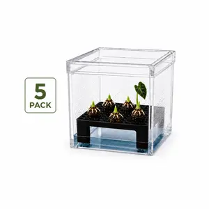 Corm Crib™ – 5 Pack Alocasia Corm Riser Bundle