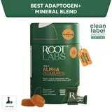 Root Labs Alpha 10-in-1 Shilajit Gummies 4000 mg | New Year New Me Edition | Start 2026 Strong | Energy, Stamina & Focus | Zero Sugar | KSM-66 Ashwagandha, Tongkat Ali, Maca | Vegan | 60 Count | Transform Your Health Goals