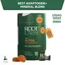 Root Labs Alpha 10-in-1 Shilajit Gummies 4000 mg | New Year New Me Edition | Start 2026 Strong | Energy, Stamina & Focus | Zero Sugar | KSM-66 Ashwagandha, Tongkat Ali, Maca | Vegan | 60 Count | Transform Your Health Goals