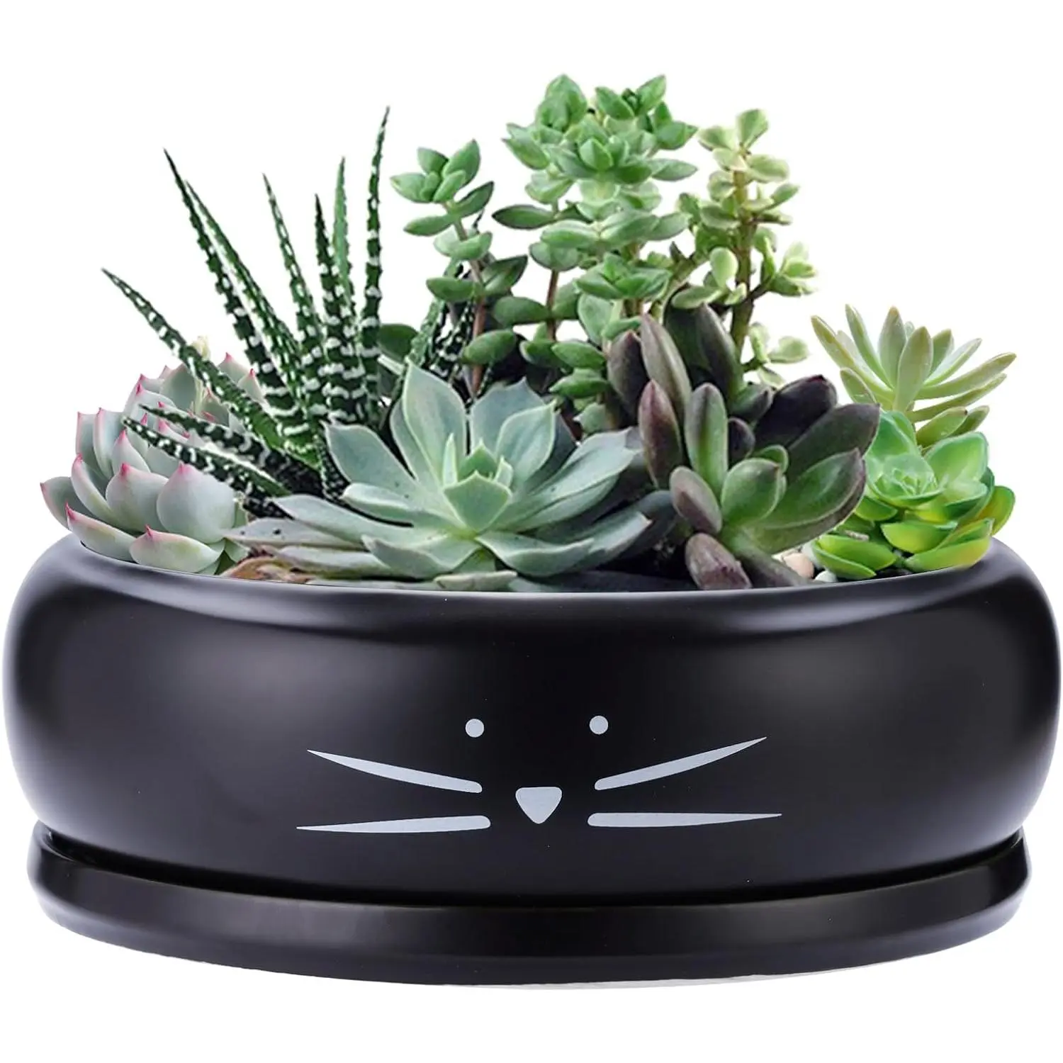 8 Inch  Ceramic Succulent Planter Pot with Drainage Hole and Tray Flower Pot for Indoor and Outdoor  Round Shallow Planter Gifts for  Lovers Black