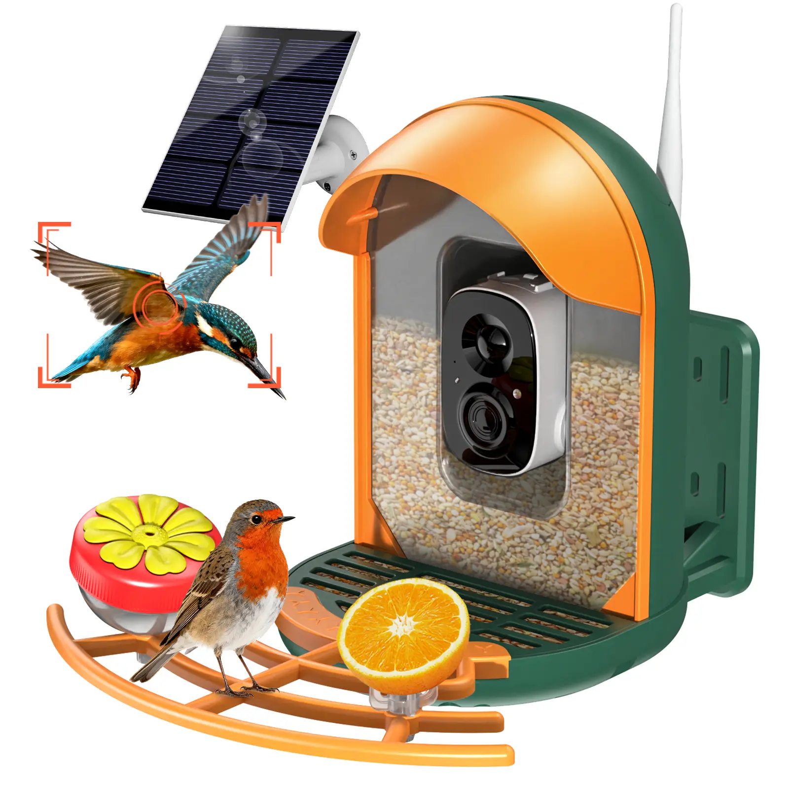 Smart Bird Feeder with Camera, Solar Powered Wireless Birds 2K HD Camera with APP Control, Night Vision, Motion Detection Alerts, IP66 Outdoor Birdfeeder for Backyard Garden Bird Watching, Green