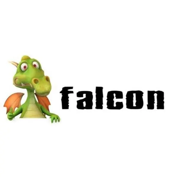 USED-Personalised Coffee MUG - Dragon Design - Falcon