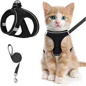 Pet Breathable Harness Reflective Escape-Proof Walking Vest with Leash for Cats and Small Dogs