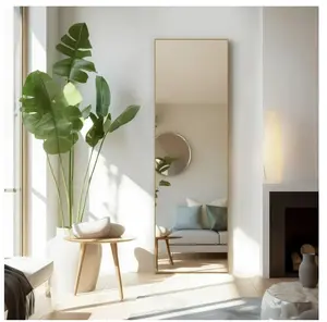 64"x21" Full Length Mirror Rectangle Body Dressing Floor Standing Mirrors, Gold Aluminium Decor
