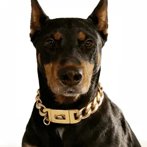 Stainless Steel Dog Collar, 19mm Luxury Cuban Chain Design, with Tag Buckle and Metal Clasp, Pet Dog Leash Gold Chain