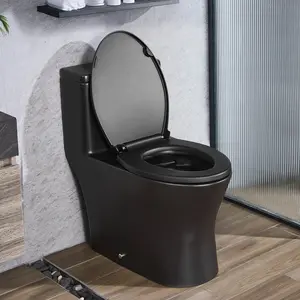VEVOR One-Piece Toilet, Elongated Toilet Vortex Dual-Flush 1.0/1.28 GPF, Toilets for Bathroom with Comfortable Chair Seat, Standard Height, Easy-Clean Skirted Design, 12 Rough-In, Matte Black+ Black
