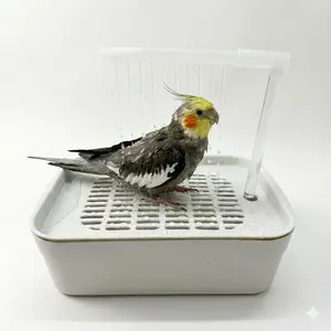 Automatic Parrot Bath Box, Reusable Water Circulation, Fits Two Small Parrots at Once, Suitable for Quaker Parakeets, Bird Supplies