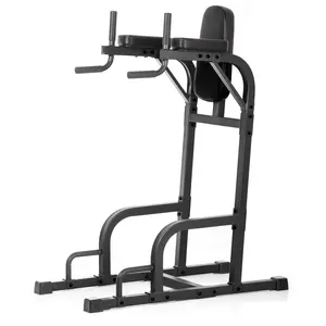 Captain’s Chair Leg Raise w/ Dip Stand & Push Up Station
