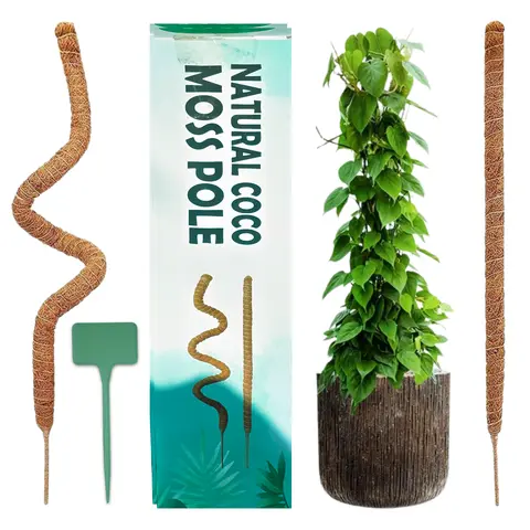 2-Pack Adjustable and Bendable Coco Coir Moss Pole (42 in, Flexible Shape) - Breathable 2 Pack Box Plant Care & Support, Gardening Supplies for Monstera, Climbing Indoor Plants, Supports Growth, Home Improvement Tools