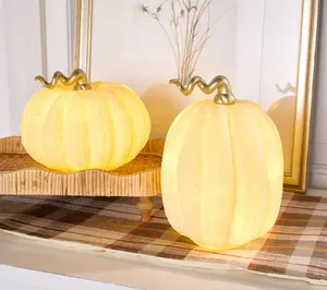 Home Reflections S/2 Illuminated Textured Glass Pumpkins