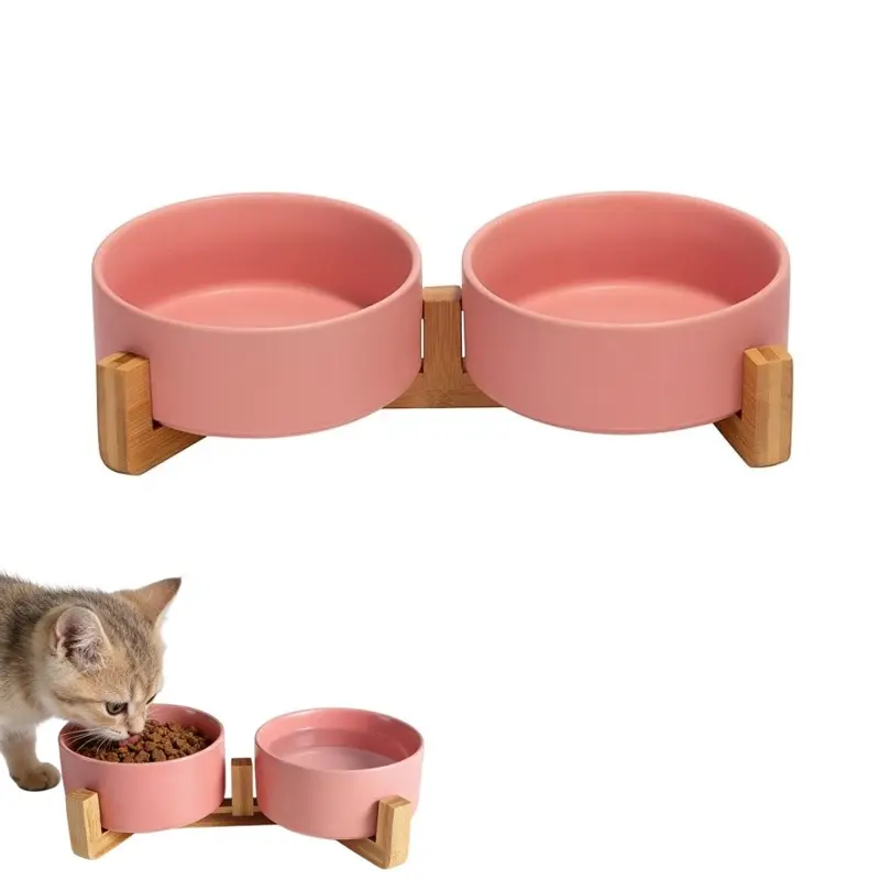 best litter box system for a single cat home Top Entry Cat Litter Box | Small Space| Modkat
