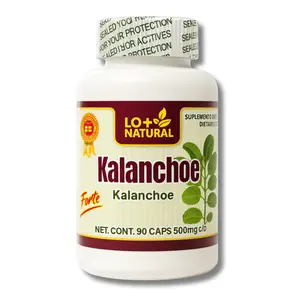 Kalanchoe Pinnata Forte(Leaf of Life) Capsules – 90 Capsules(1000 mg per Serving) Bryophyllum Pinnatum,100% Natural,Vegan,Non-GMO Herbal Dietary Supplement,Antioxidant & Wellness Support