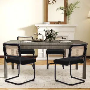 Modern Rattan Dining Chairs Set of 2/4 with Chrome Frame & Upholstered Seat for Dining Room & Kitchen Versatile Home Furniture summervibes,