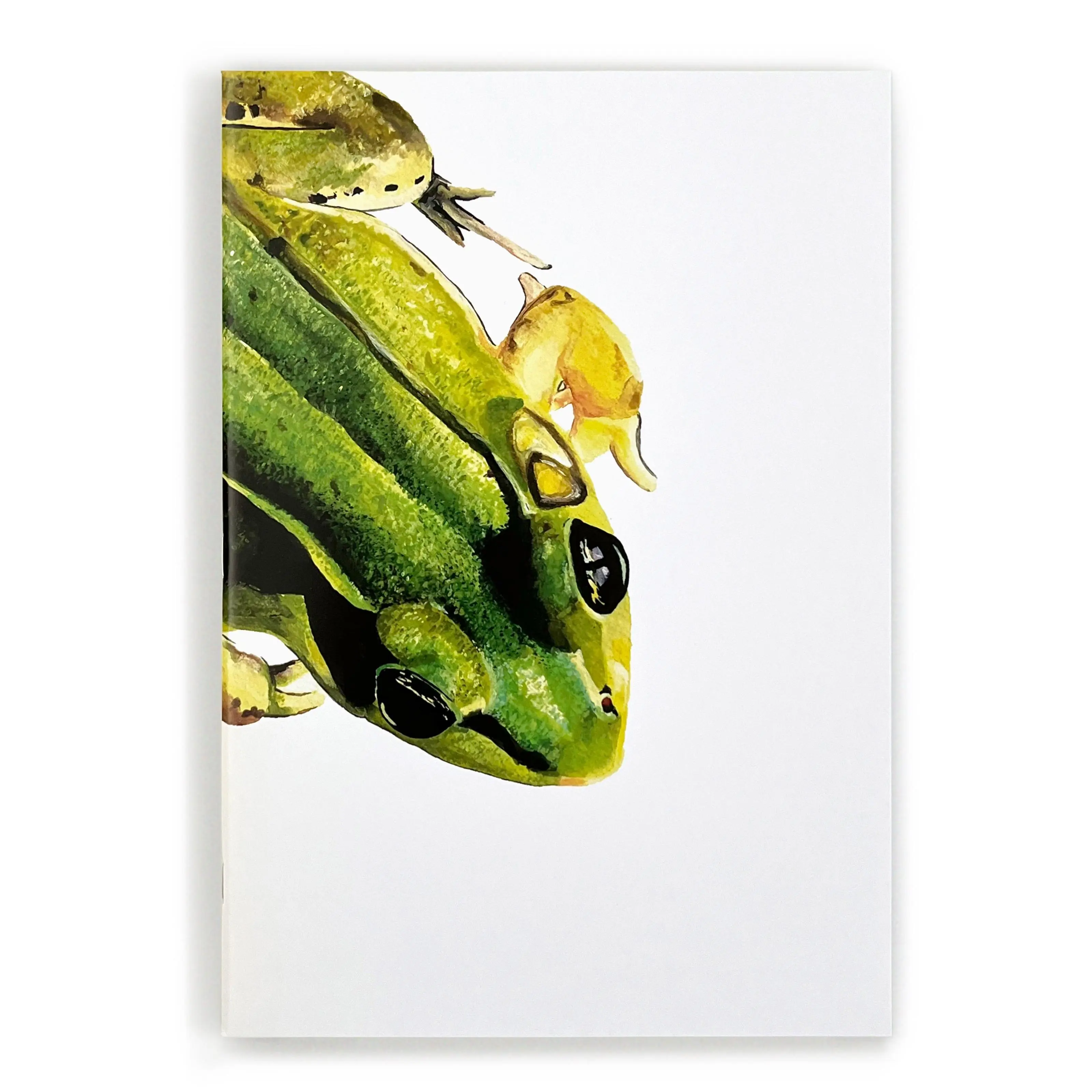 Frog Notebook