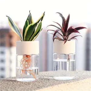 Mini Hydroponic Flower Pot Home Vase Decor Transparent Imitation Glass Clear Nursery Pots Soilless Plant Pots Hydroponic Planters Green Plants Pot For Home Decoration