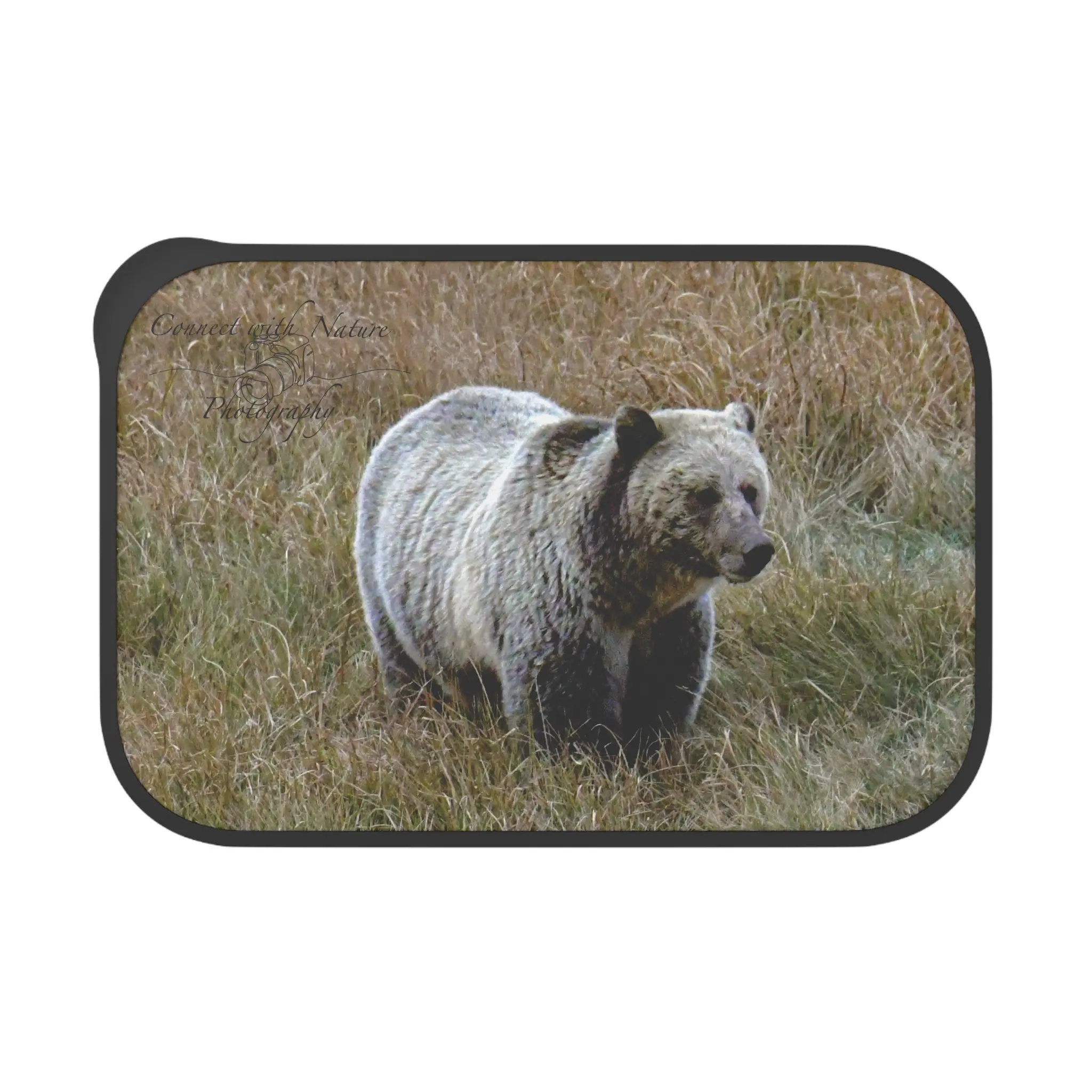 Grizzly Bear Photo PLA Bento Box with Band and Utensils | Wildlife Lunch Container