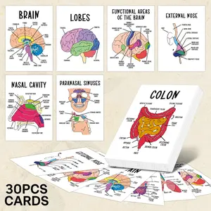 30Pcs Anatomy Flash Cards, Nursing Flashcards for Human Body Systems - Study Guide for Medical and Nursing, Includes Skeletal, Muscular, Digestive, Respiratory, and Circulatory System Diagrams, Featuring Labeled Diagrams And Functional Description