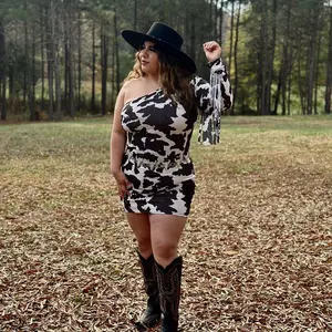 Lala One Shoulder Fringe Dress