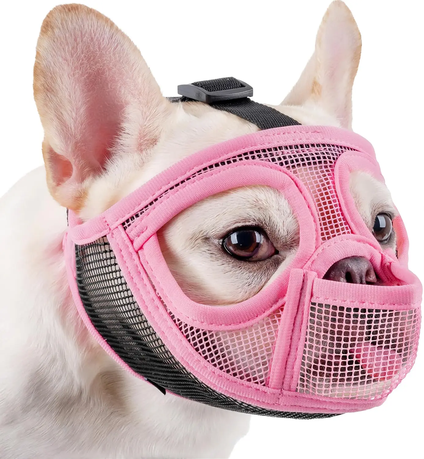 Short Snout Soft Plastic & Mesh Grid Dog Muzzle, Full Pant Design for French Bulldogs, Prevents Bite/Eating, Allows Drinking/Feeding for Grooming, Suitable for Shih Tzus Pugs English Bulldogs